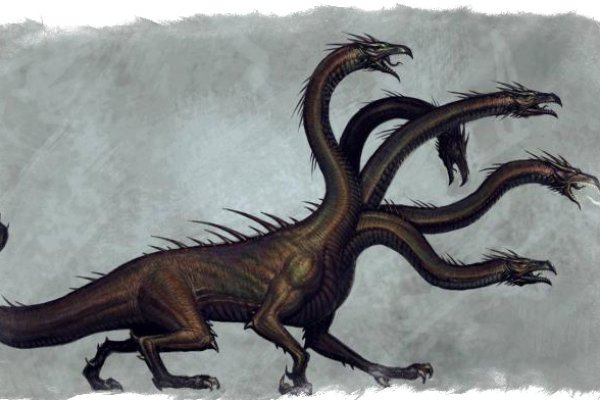 Kraken 19at
