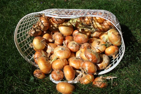 Ссылка адрес на кракен