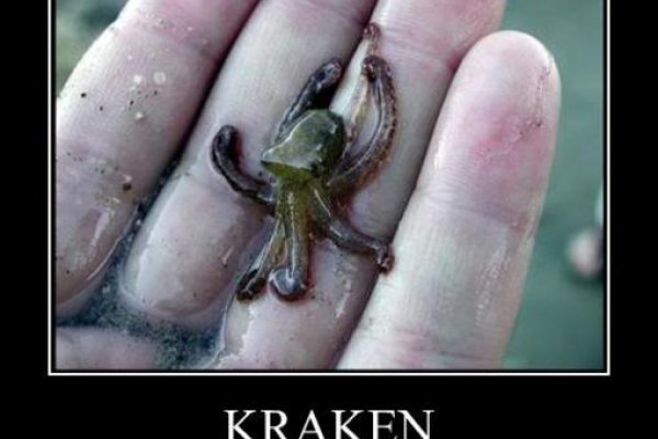 Kraken 15 at